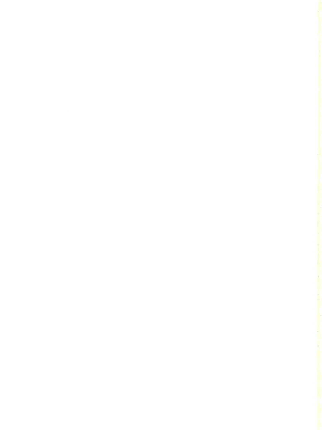 [Kantarou] Mahou Kyuushiki 18 Majokko Jam - Magical Classic 18 Fhentai - Page 55