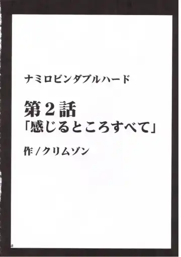 [Crimson] Nami Robin Double Hard Fhentai - Page 26