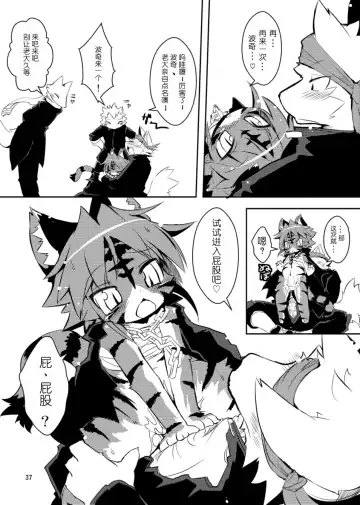 [Ro] Sakigake! Toraman Bancho-chan! Fhentai - Page 20