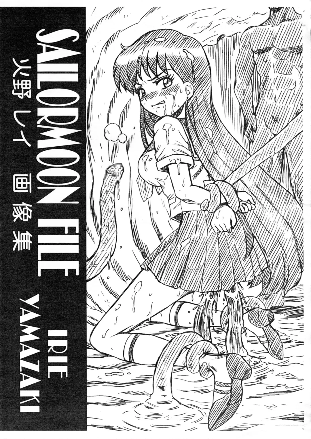 [Irie Yamazaki] SAILORMOON FILE Hino Rei Gazoushuu Fhentai - Page 1