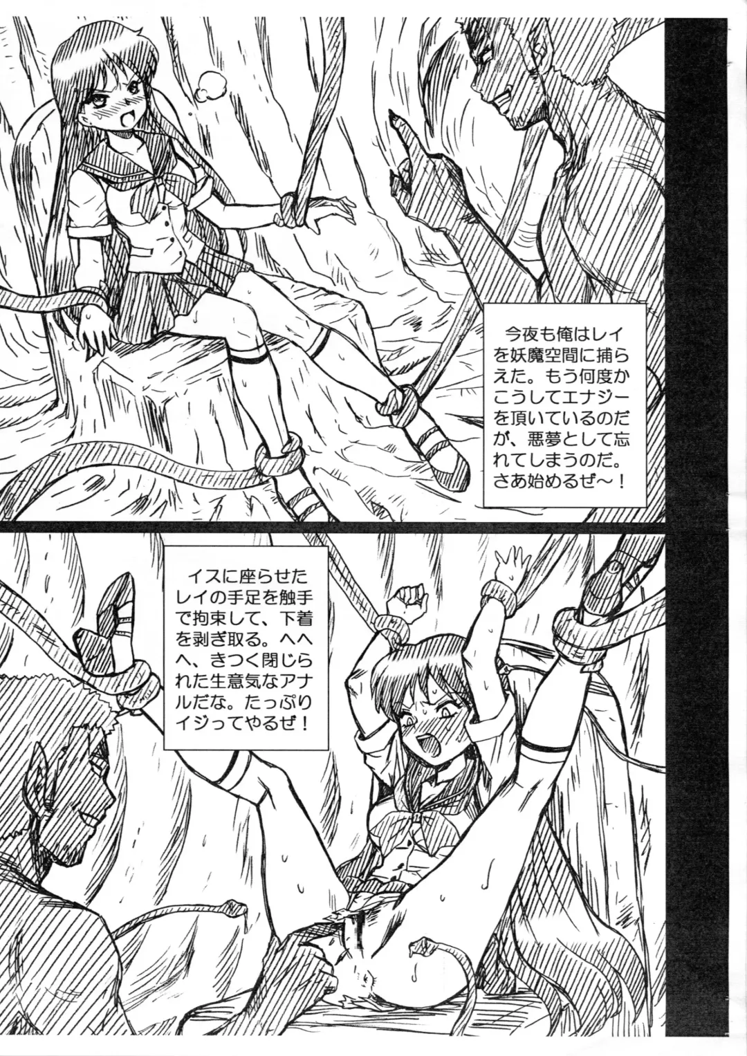 [Irie Yamazaki] SAILORMOON FILE Hino Rei Gazoushuu Fhentai - Page 3