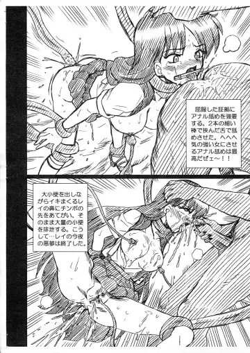 [Irie Yamazaki] SAILORMOON FILE Hino Rei Gazoushuu Fhentai - Page 8