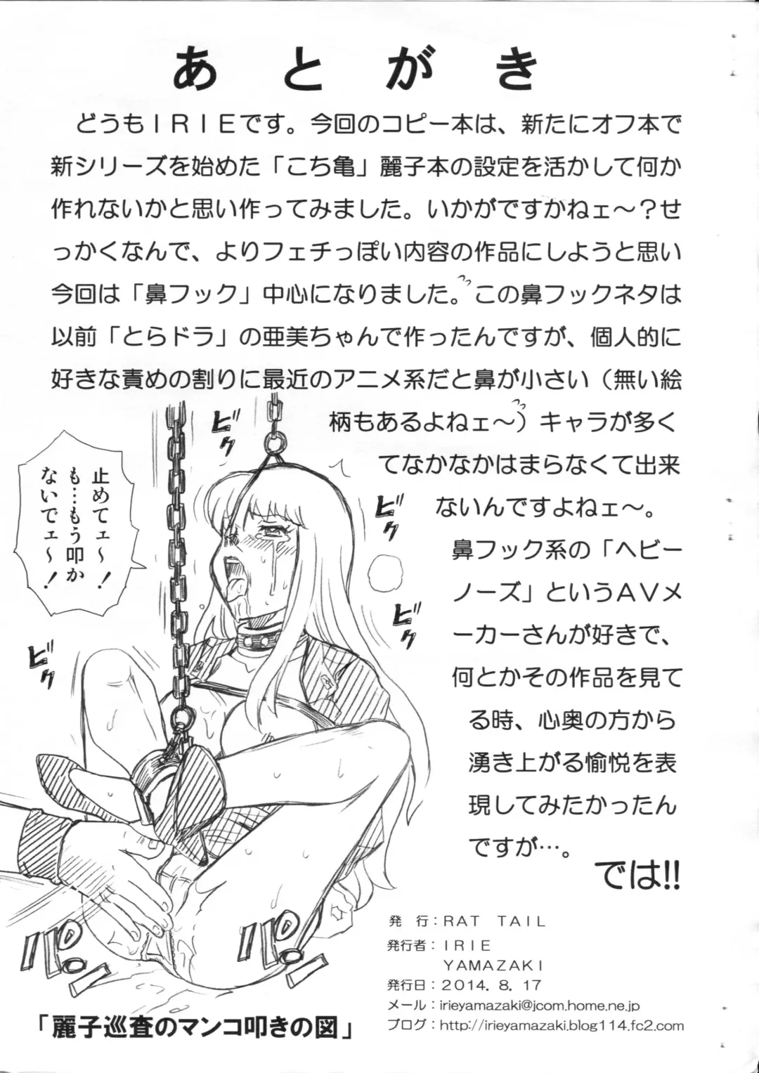 [Irie Yamazaki] F&B AV Sample File Akimoto Katherine Reiko Gazoushuu Fhentai - Page 9