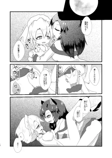 [Rekisitaihoonoji] ルーディ・リリー Fhentai - Page 13