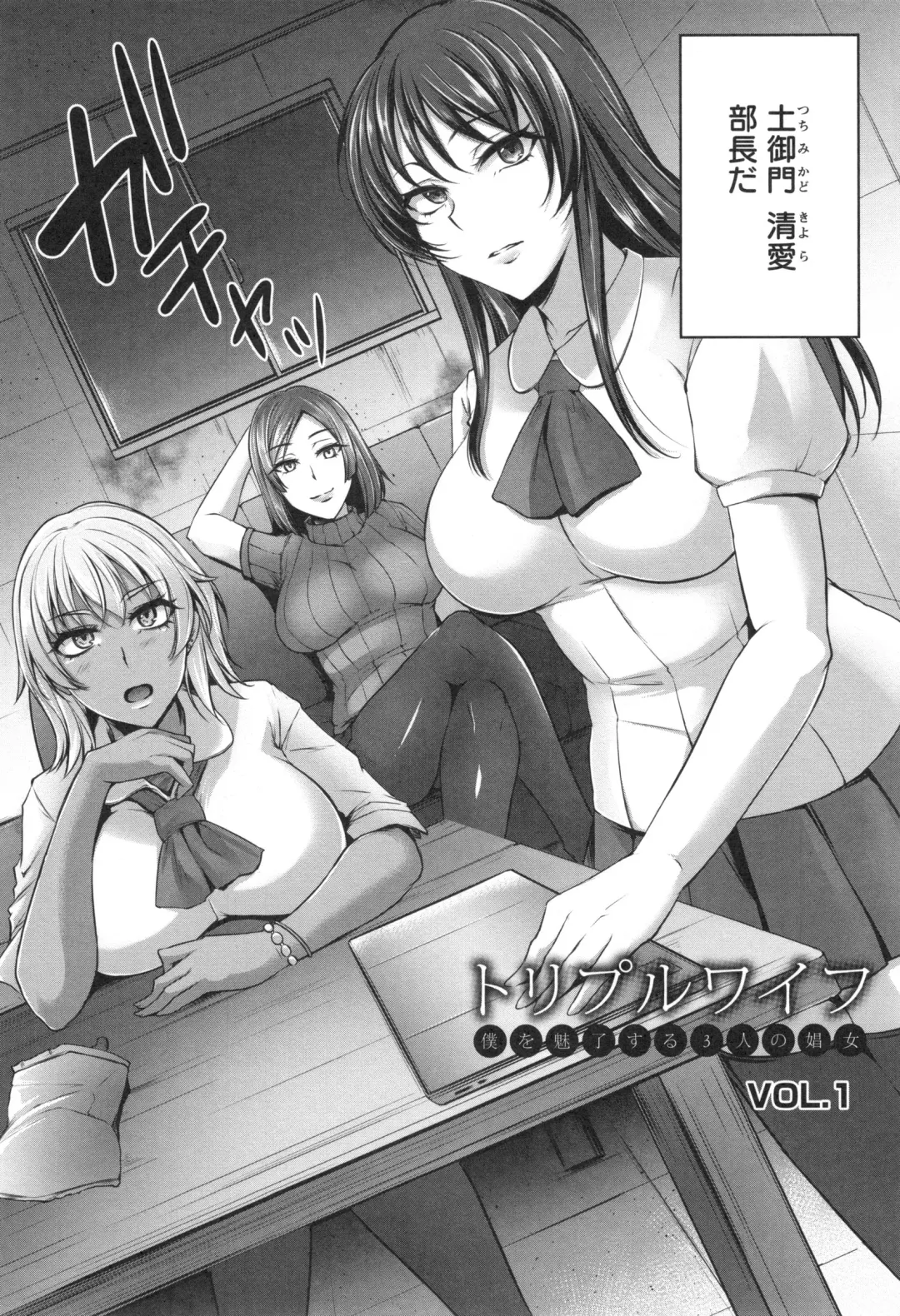[Yukiguni Omaru] Junjou Try Inpouroku Fhentai - Page 17
