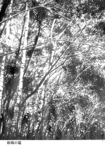 [Hashiba Yachi] Hari no Mushiro Fhentai - Page 4