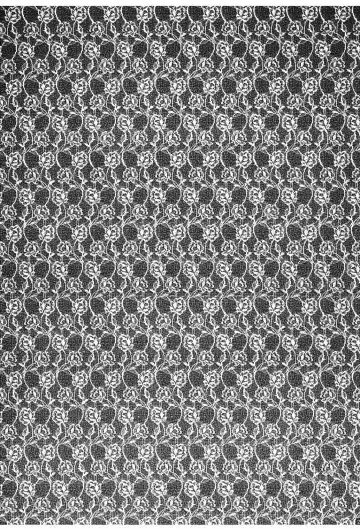 [Kazuki Yuu] Primavera Fhentai - Page 21