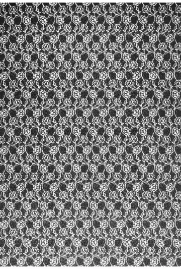 [Kazuki Yuu] Primavera Fhentai - Page 8