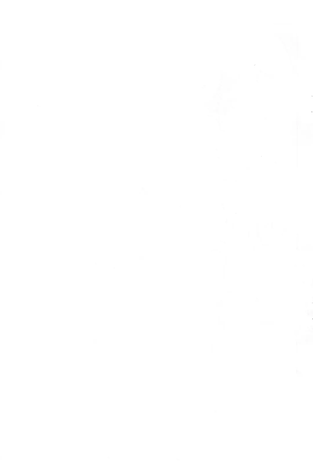 [Serizawa Yuuji] Kono ♀ Buta ga Fhentai - Page 11