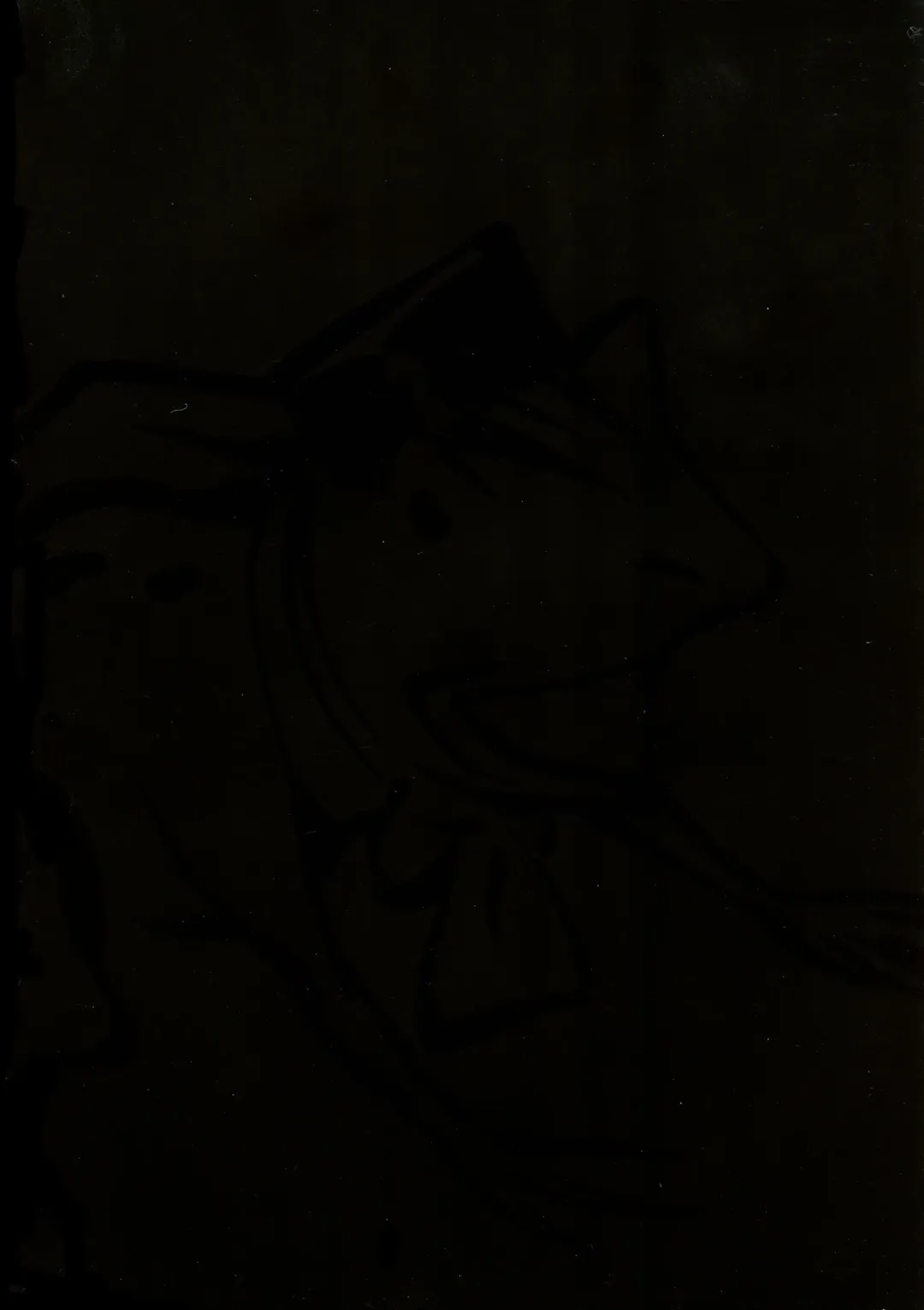 [Nishi Iori] Seifuku Giga ~ Nishi Iori Cosplay Tanpenshuu ~ Fhentai - Page 28