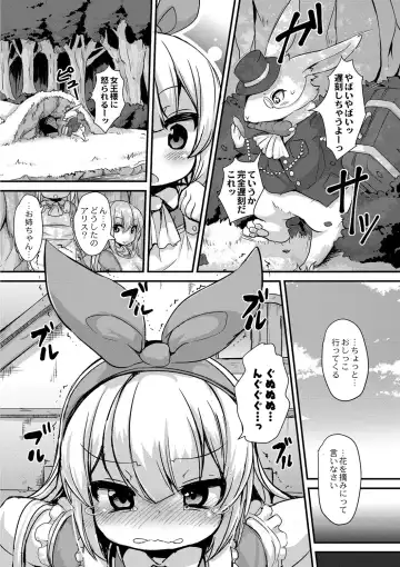 [Ro] Fushigi no Kuni no Alice Fhentai - Page 3