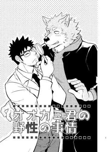 [Draw2] Ookami-kun no Yasei no Jijou (decensored) Fhentai - Page 2