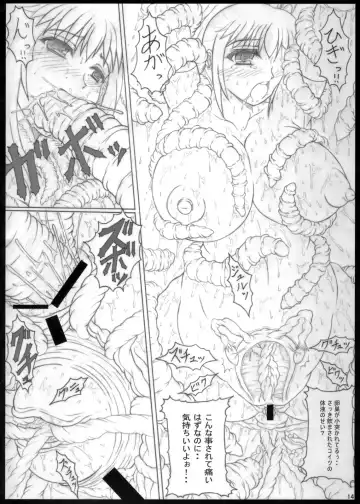 [Hans.] Shokuou Fhentai - Page 14