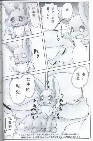 [Ashitani Yukihisa - Kajiura - Kesupu] EeveeROlution 2 | 伊布色情进化2 Fhentai - Page 20
