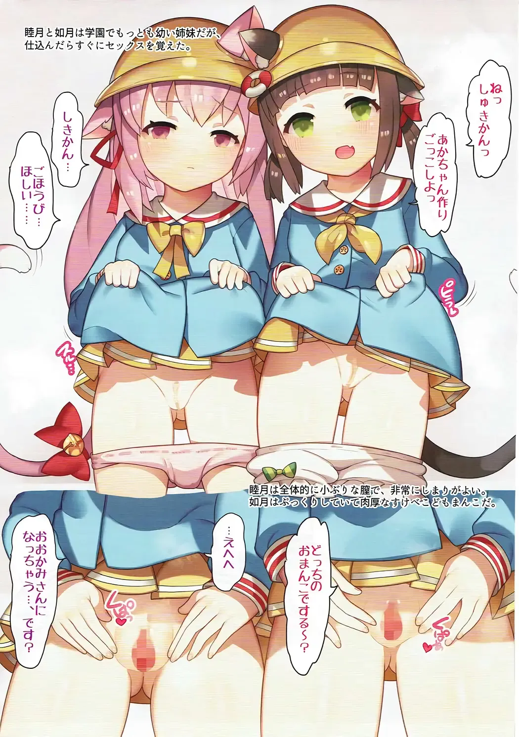 [Nekotewi] Hekiran Shabaku Fhentai - Page 9