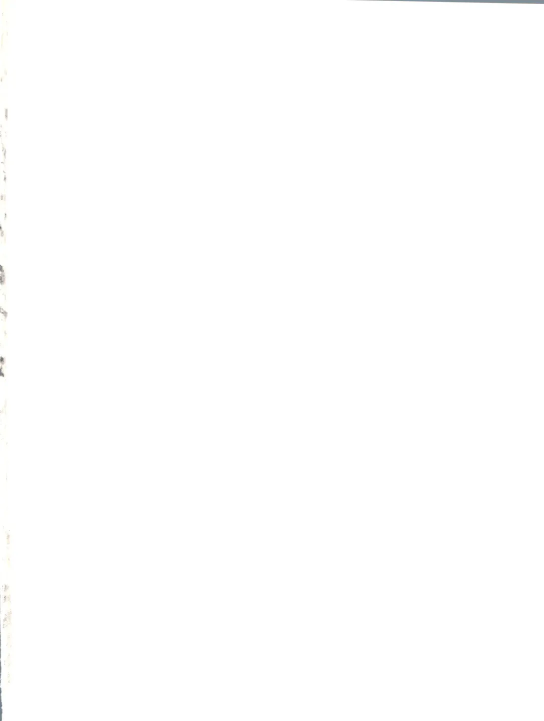 [Orimoto Mimana] Renarn-Bon - The Renarn Book Fhentai - Page 2