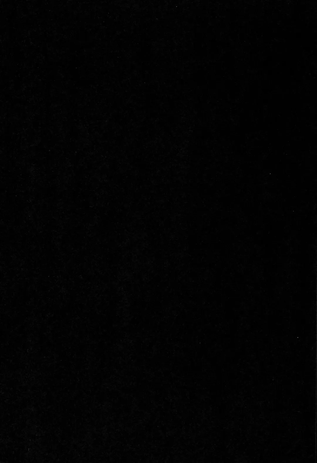 [Amanagi Seiji] Dangan Bunki Route Fhentai - Page 9