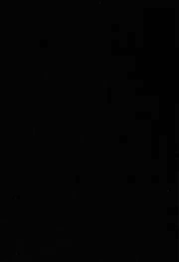 [Amanagi Seiji] Dangan Bunki Route Fhentai - Page 9