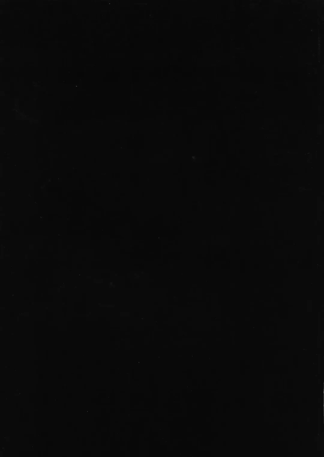 [Ryuua] Do-Chikushou Beronica-san Kairaku no Sister Fhentai - Page 13