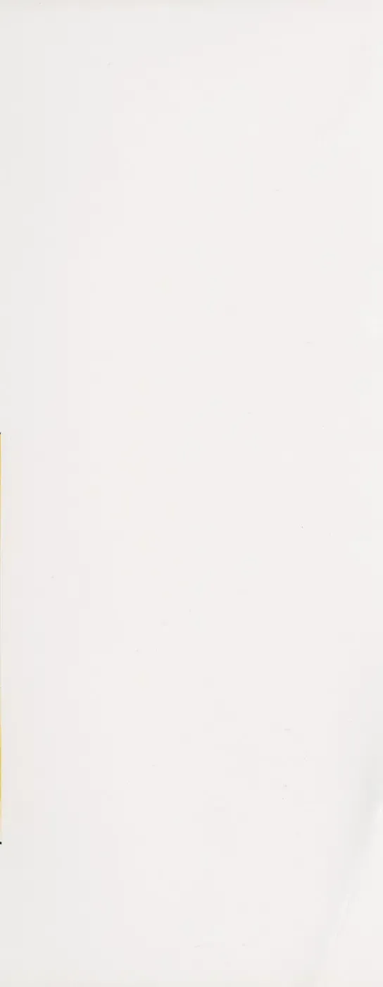 [Shinrin Tamago] Onee-sama no Iitsuke Fhentai - Page 171