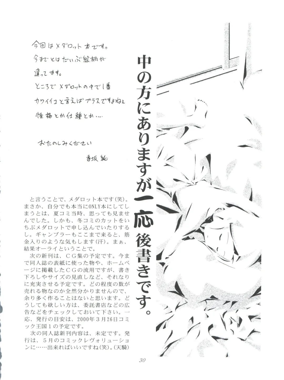 [Kousaka Jun] Medaro Mode Fhentai - Page 30