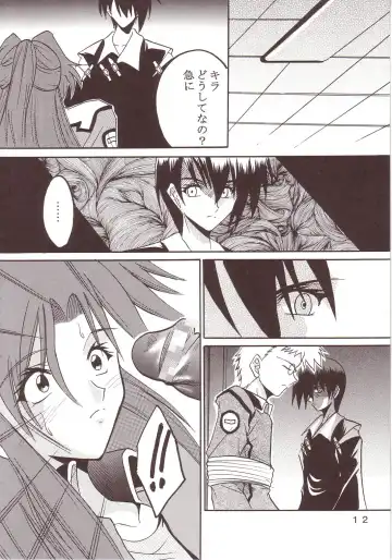 [Ishikawa Jippei - Kitty] SEED 2 Fhentai - Page 13