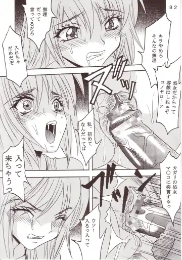 [Ishikawa Jippei - Kitty] SEED 2 Fhentai - Page 33