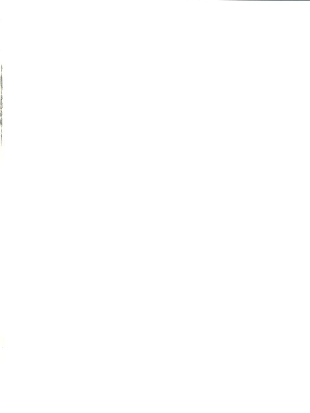 [Nishi] Zoku Ai no Arashi Ai no Sanka Fhentai - Page 2