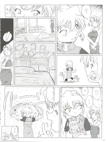 [Nishi] Zoku Ai no Arashi Ai no Sanka Fhentai - Page 14