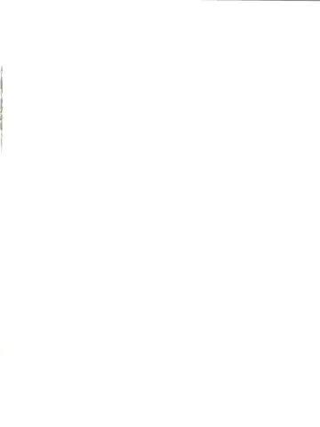 [Nishi] Zoku Ai no Arashi Ai no Sanka Fhentai - Page 2