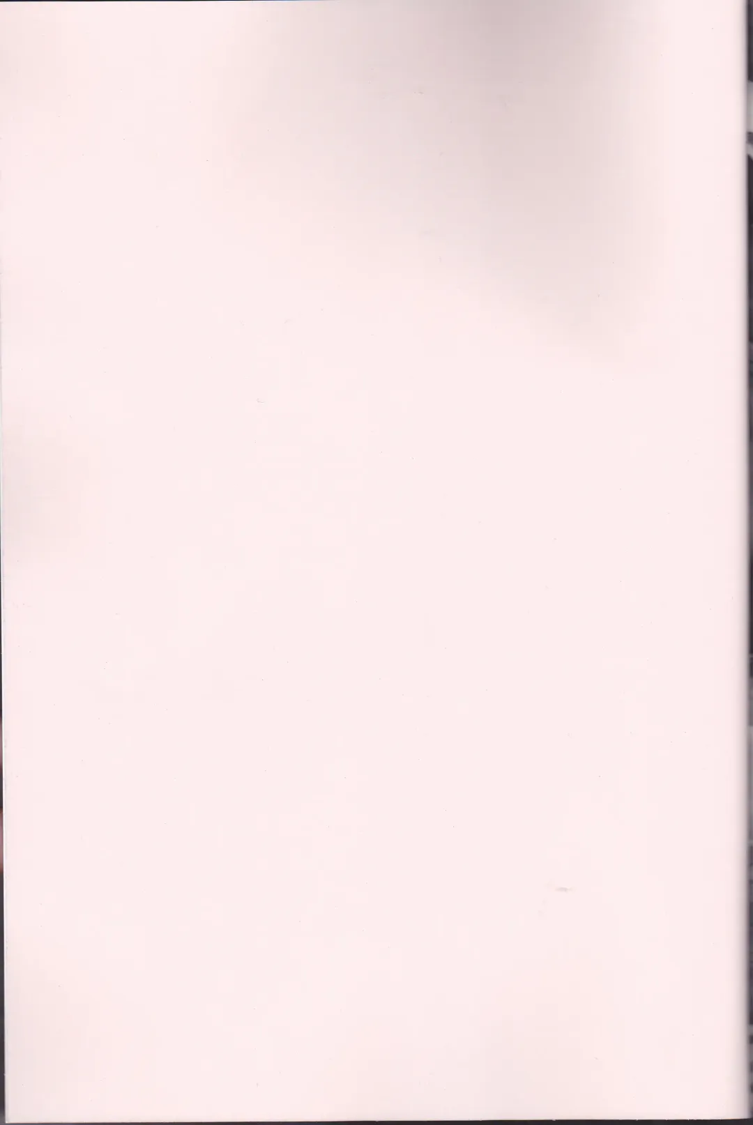 [Torikawa] Haten Mesu Kouryuuhi Fhentai - Page 2