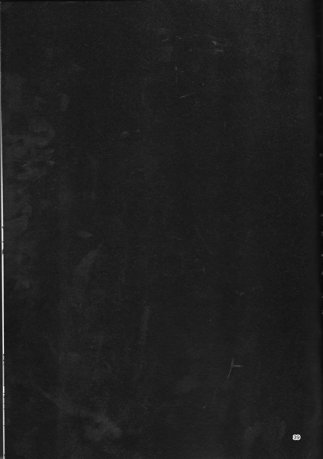 [Torikawa] Haten Mesu Kouryuuhi Fhentai - Page 39