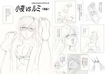 [Meto] Moewrest 15 Tobiiri Death Match Sayo vs Rumi <Kouhen> Fhentai - Page 3
