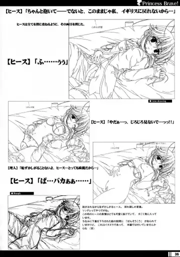 [Miyama Zero] Princess Brave! Jantaku no Kishi - Settei Gengashuu Fhentai - Page 35