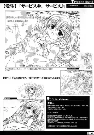 [Miyama Zero] Princess Brave! Jantaku no Kishi - Settei Gengashuu Fhentai - Page 39