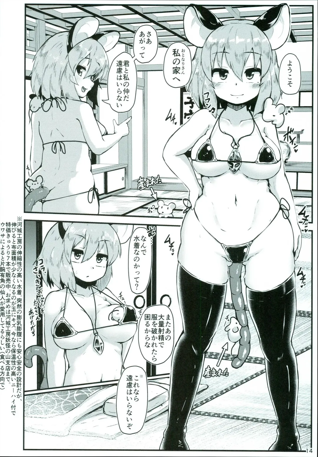 [Peso] Otonari no Nazrin wa Hanshokuki Fhentai - Page 14