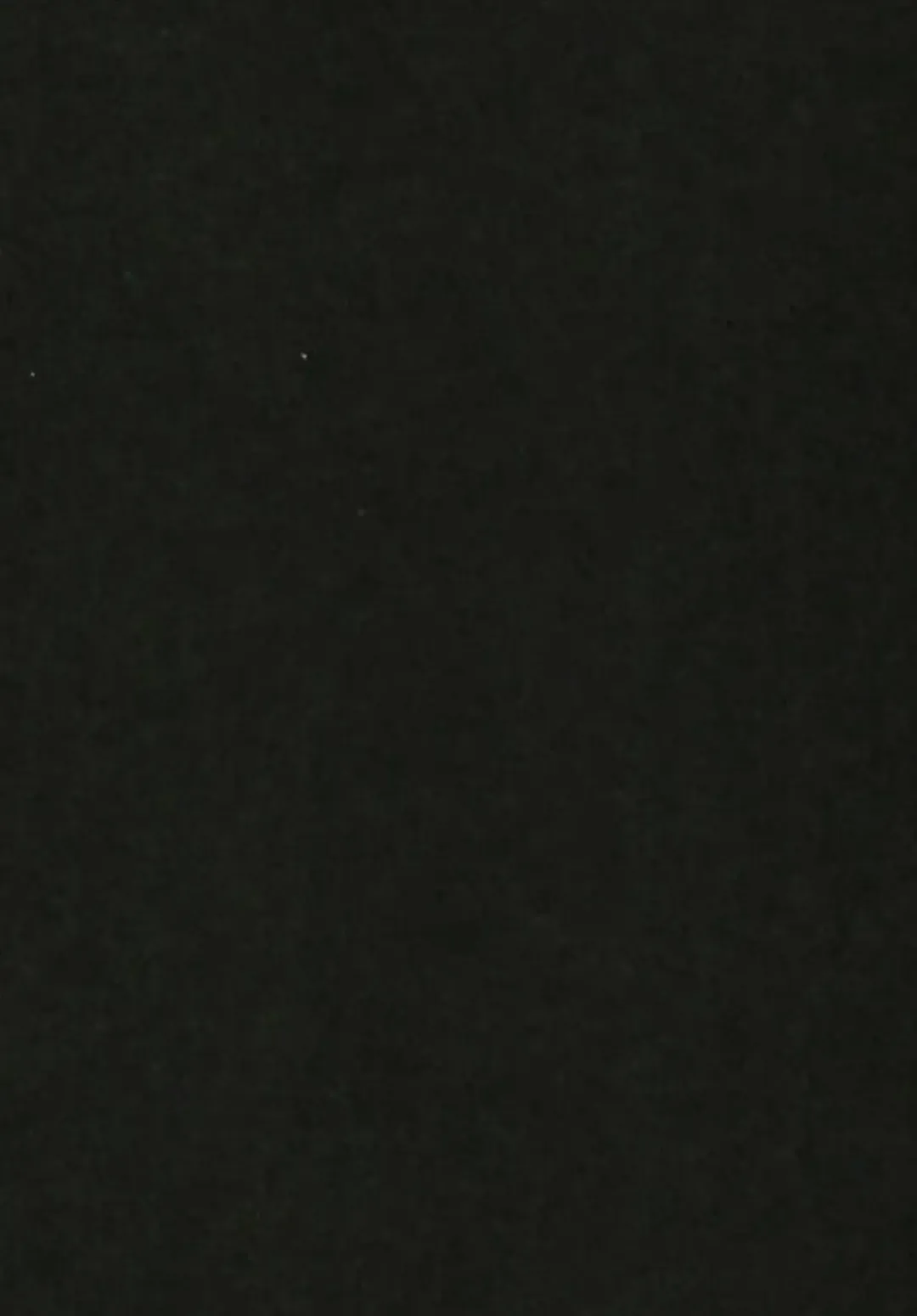 [Beijuu] Thoroughbred Early Days Fhentai - Page 4