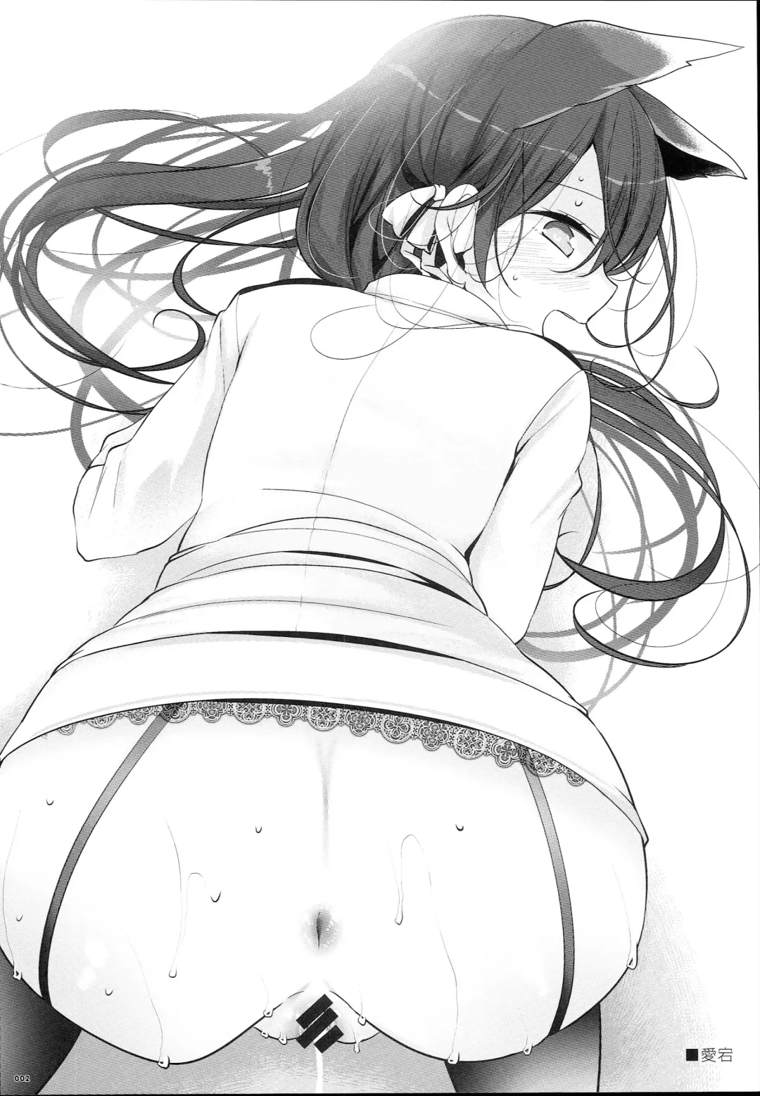 [Oouso] AzuLan no Ecchi na Rakugaki Fhentai - Page 2