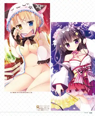 [Shiromochi Sakura] SakuraBiyori Shiromochi Sakura Gashuu Fhentai - Page 98