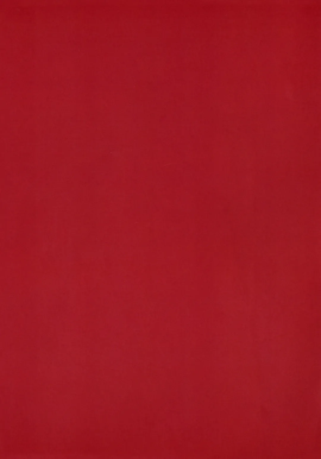 [Nanao] THE BOOK OF RIKO Fhentai - Page 12