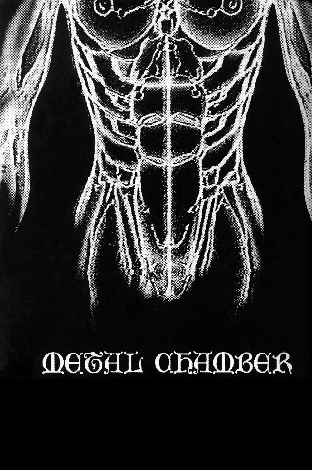 [D.hiranuma] Metal Chember Fhentai - Page 3