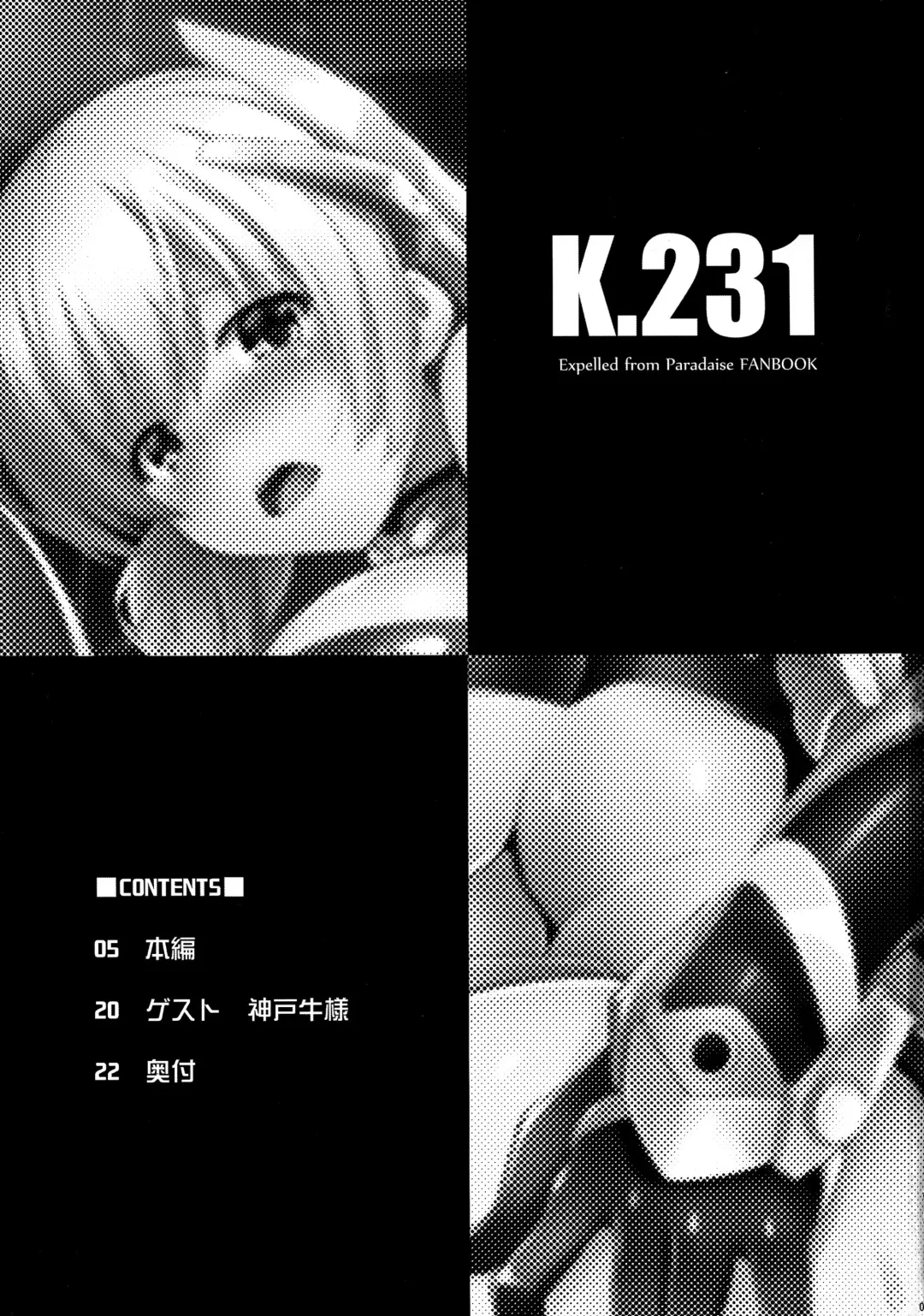 [C.r] K.231 Fhentai - Page 3