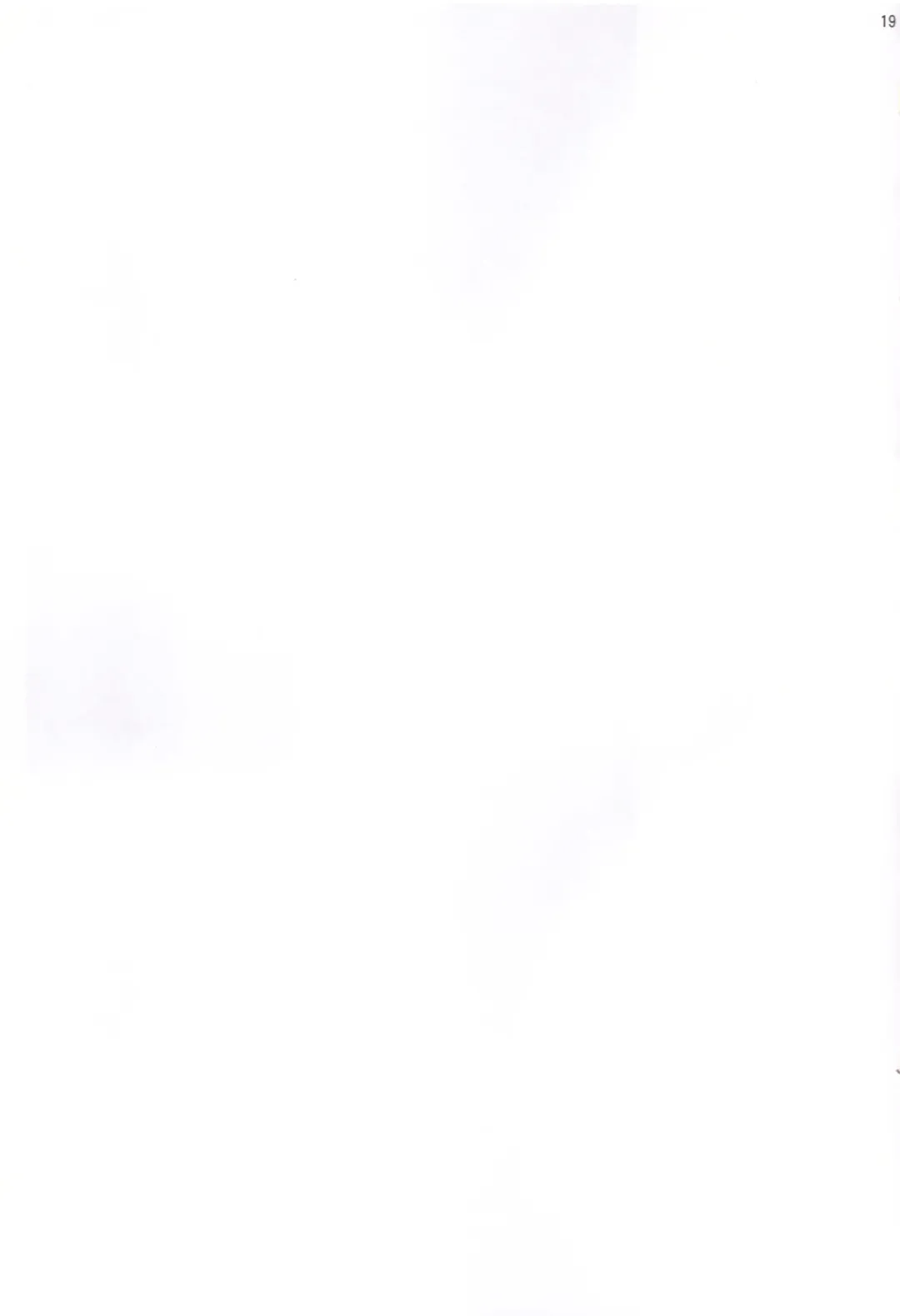 Alice-chan to Dokidoki Shitai! Fhentai - Page 21