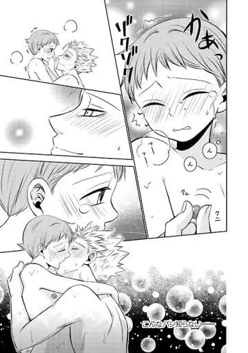 [Hikari] Imouto no Migawari Fhentai - Page 17