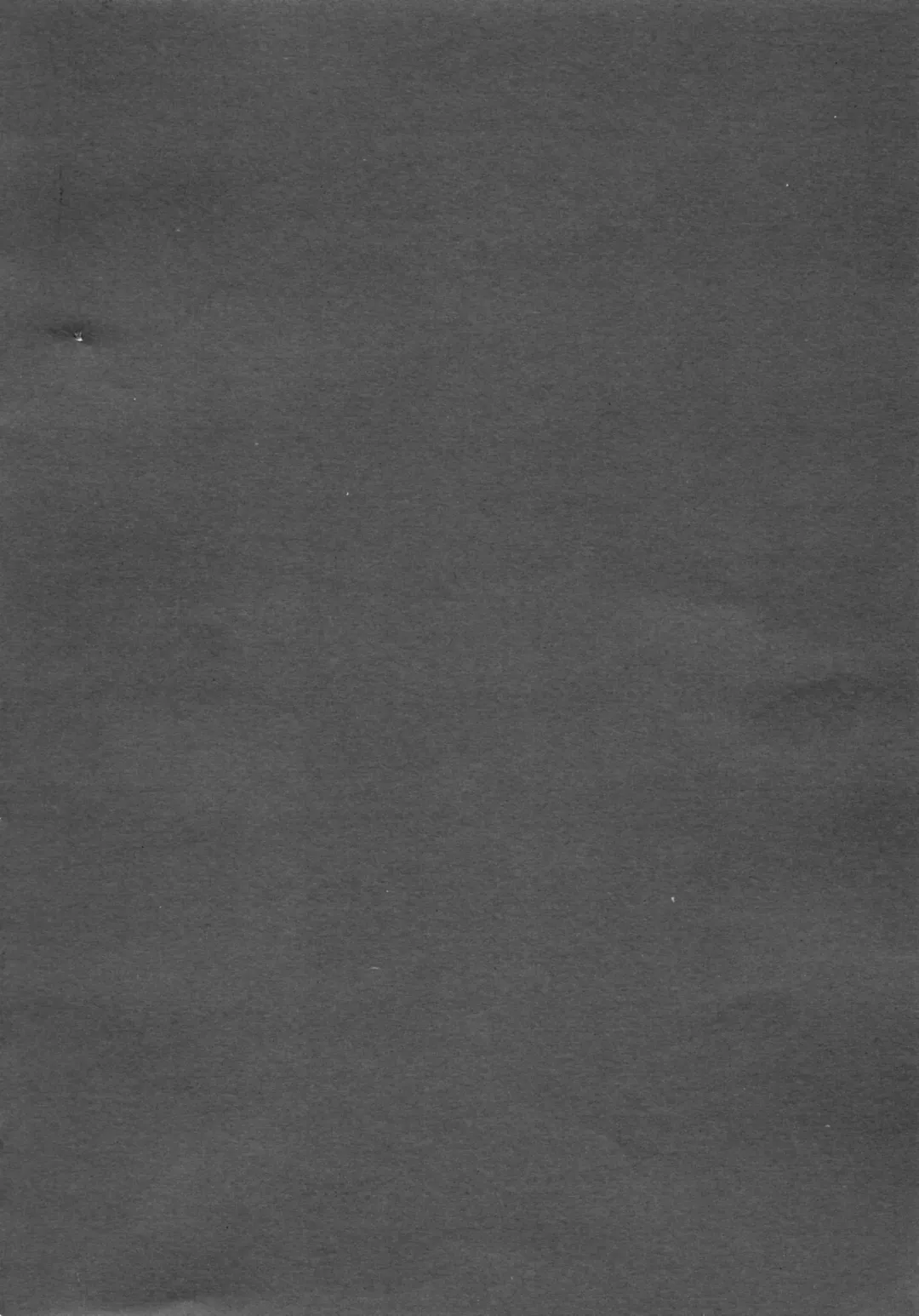 [Machimura Komori] Jyuoh no Kouhakuenjyoji Fhentai - Page 3