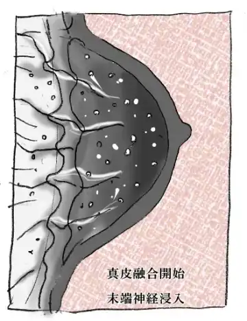 [Milda7] Hanako's Diary Fhentai - Page 25