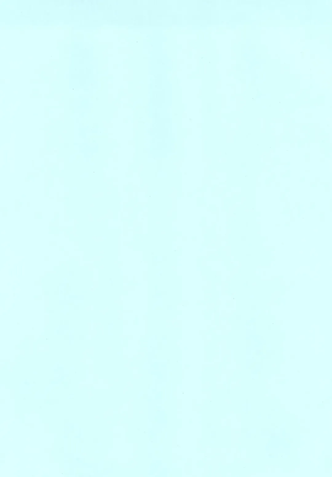 [Sankuro] Tokyo Yousoro Fhentai - Page 25