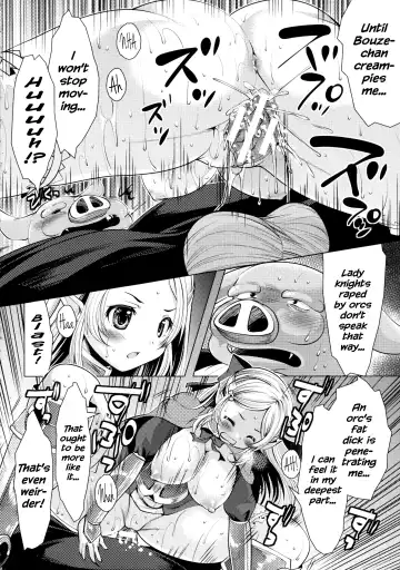 [Matsunami Rumi] Onna Kishi no Meshitsukai + Bangaihen | The Servant of the Lady Knight + Extra Fhentai - Page 16