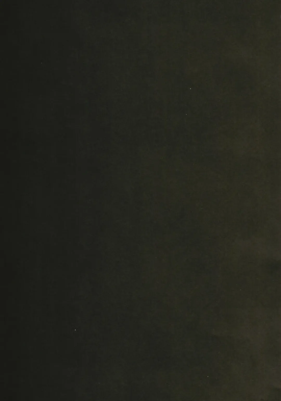 [Zhen Lu] Fuchou no Sakusei Ryouhou Fhentai - Page 23