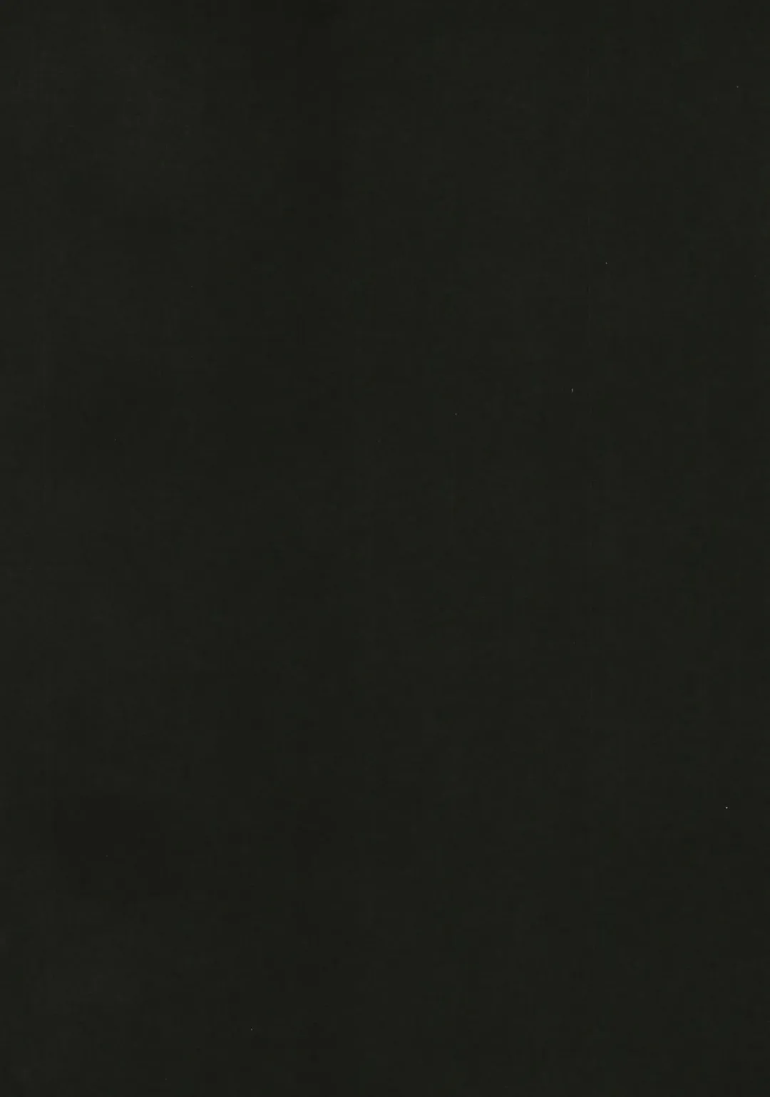 [Zhen Lu] Fuchou no Sakusei Ryouhou Fhentai - Page 4